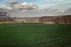 Sonsbecker-Schweiz-18