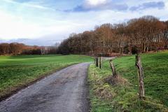 Sonsbecker-Schweiz-19