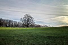 Sonsbecker-Schweiz-21