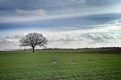Sonsbecker-Schweiz-6