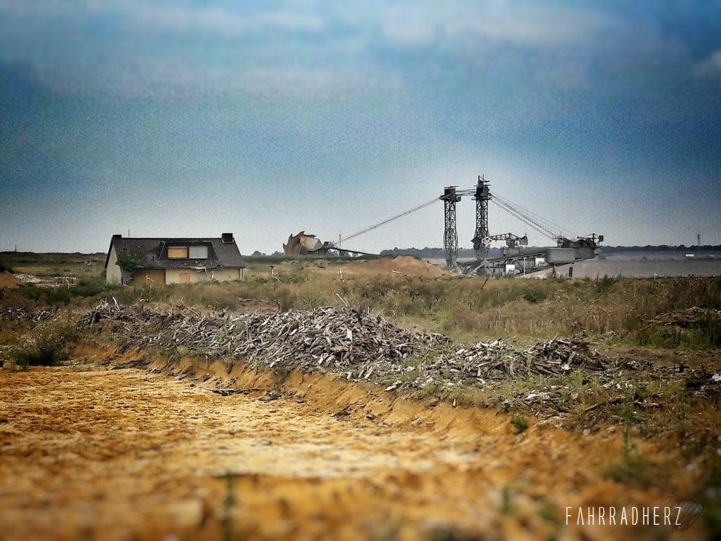 20160917_155249_Richtone(HDR)-01