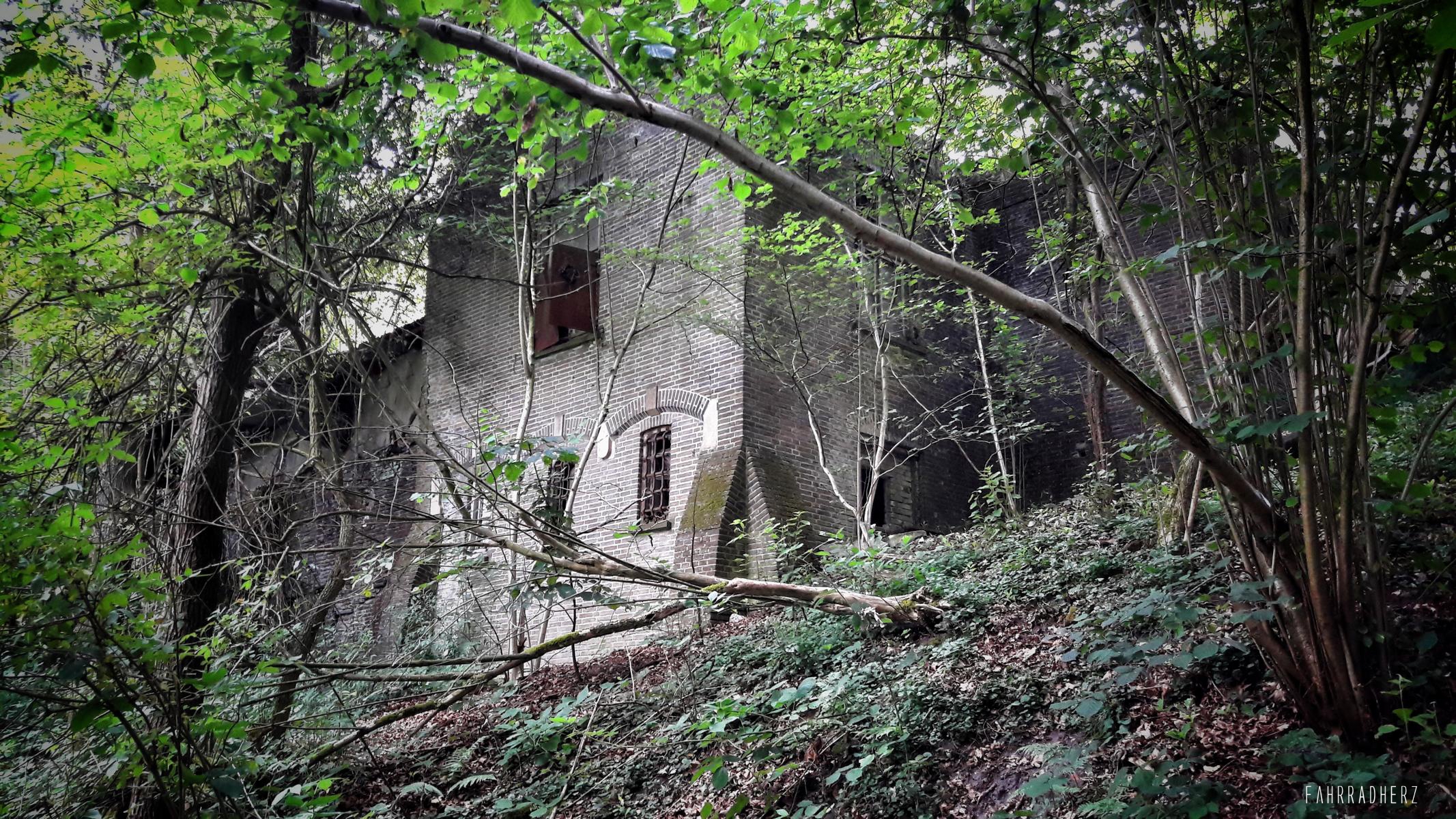 20170624_145918-01