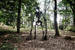 DSC03346-01