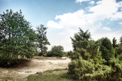 DSC03414-01