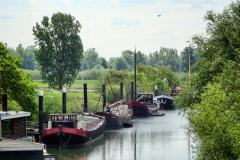 1_Betuwe-19
