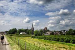 Betuwe-18