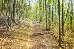 Werwolf - Wanderweg