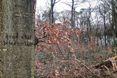 Tiergartenwald Kleve