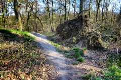 Tiergartenwald Kleve