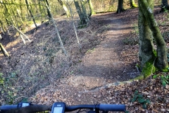 Tiergartenwald Kleve