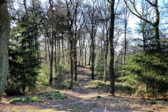Tiergartenwald Kleve