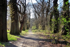 Tiergartenwald Kleve