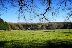 Tiergartenwald Kleve