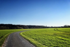 Tiergartenwald Kleve