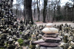 Tiergartenwald Kleve