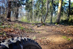 Tiergartenwald Kleve
