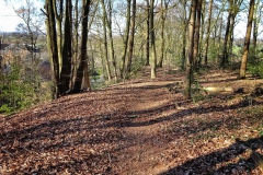 Tiergartenwald Kleve