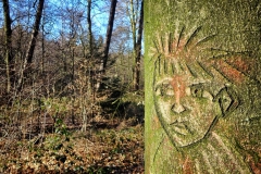 Tiergartenwald Kleve