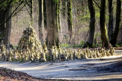 Tiergartenwald Kleve