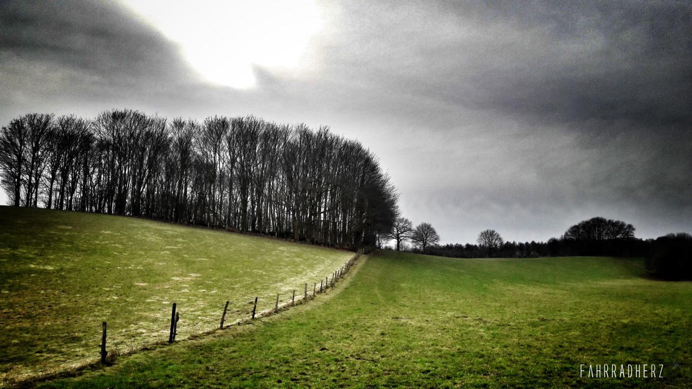 20170204_120422-01