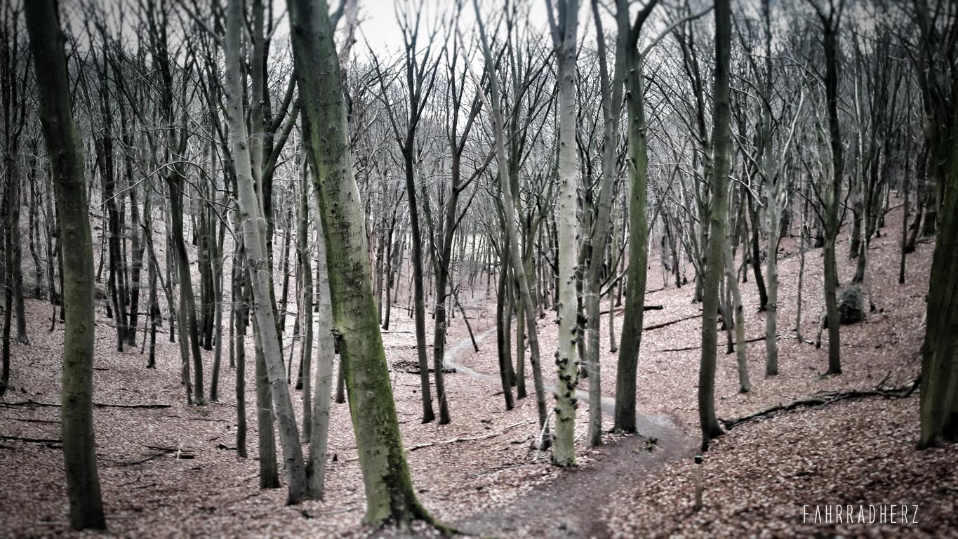 20170204_143845-01