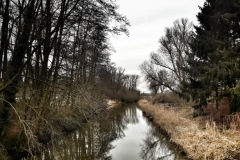 20170204_124911-01