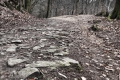 20170204_143430-01